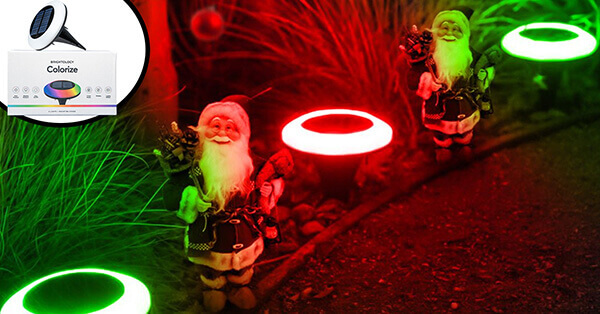 Colorize: Line Your Yard with Holiday Cheer
